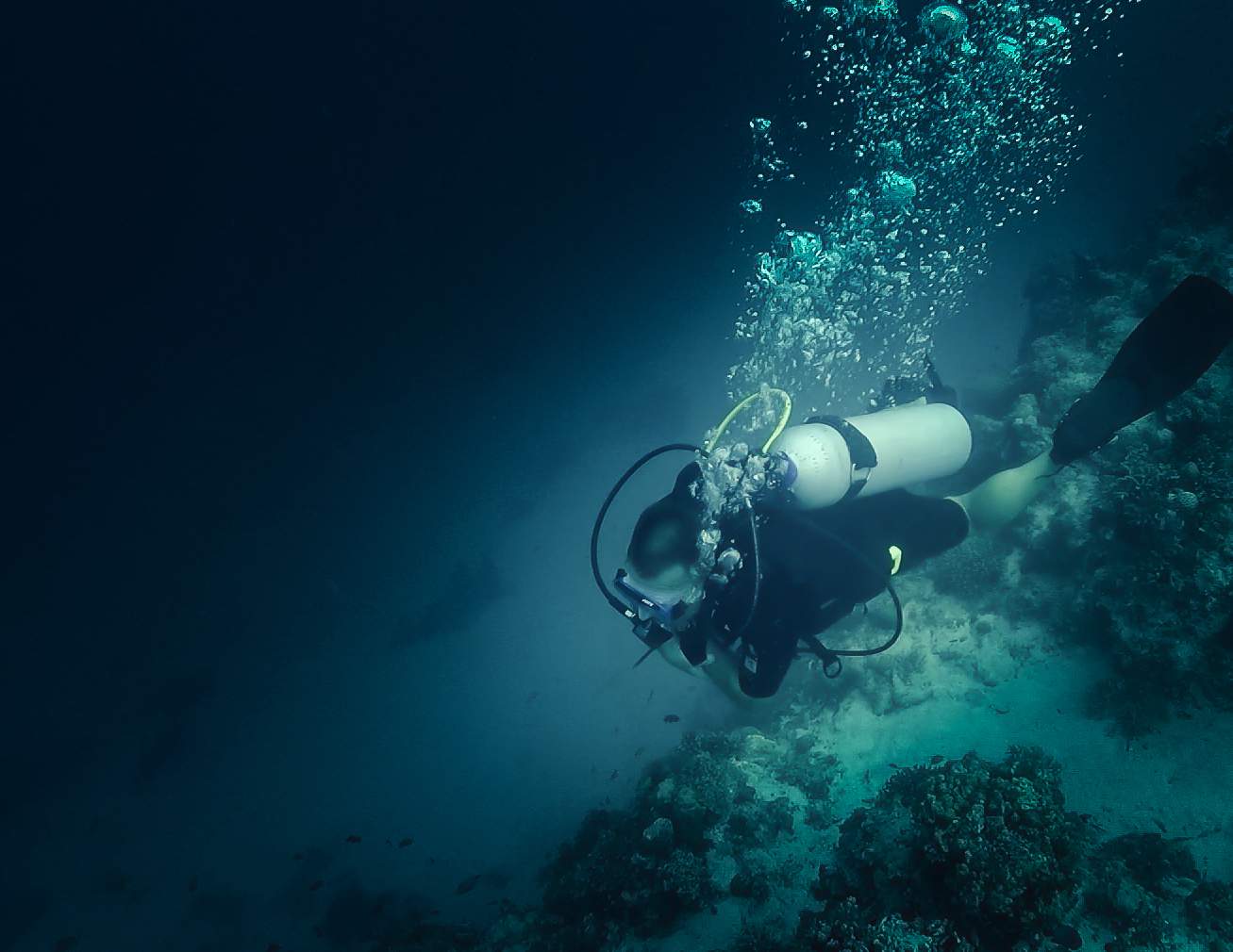 Balicasag Diving guide Bohol Philippines