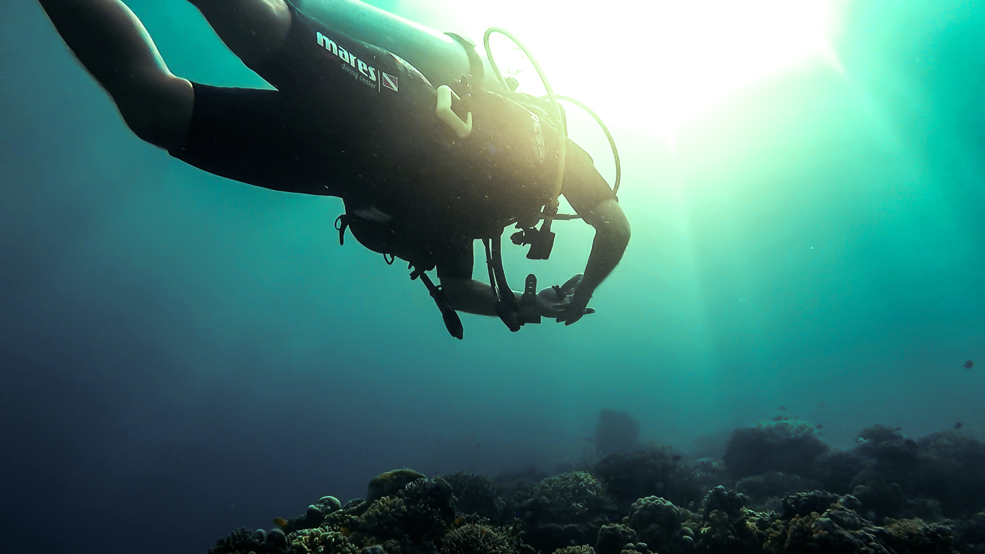 Top 5 Bohol Dive Sites for beginners and advanced divers
